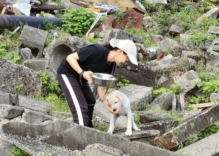 横浜市の犬のしつけ教室 くえすと