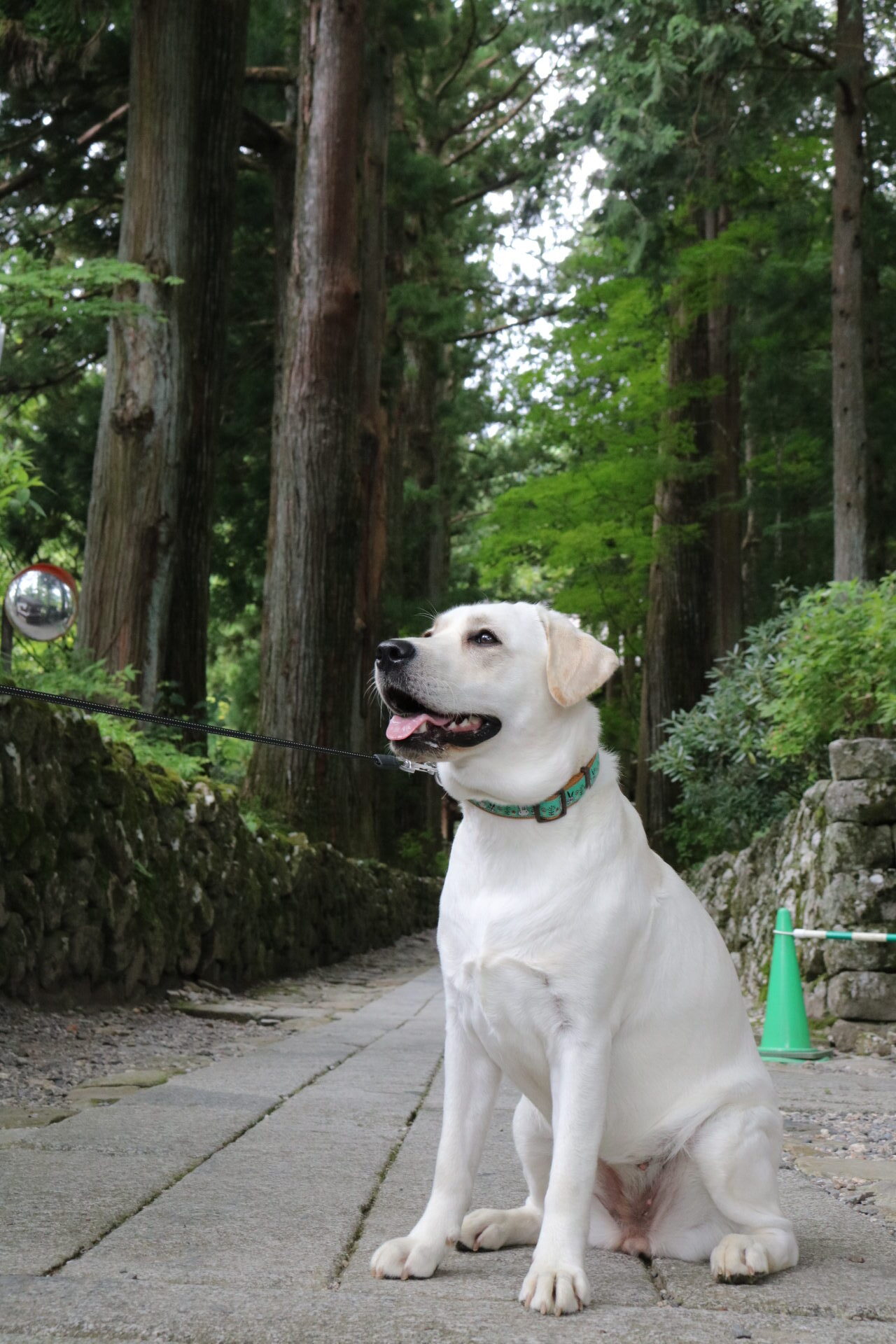 こはちゃんの夏休み1