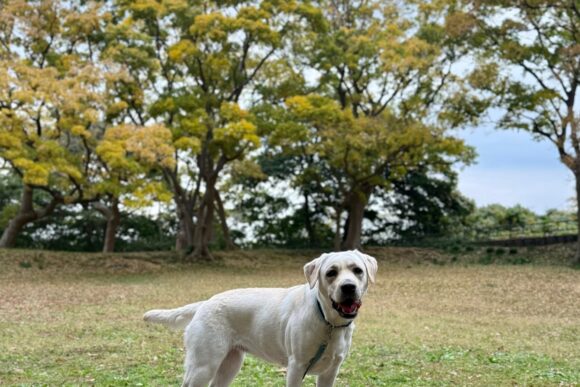 本年もお世話になりました