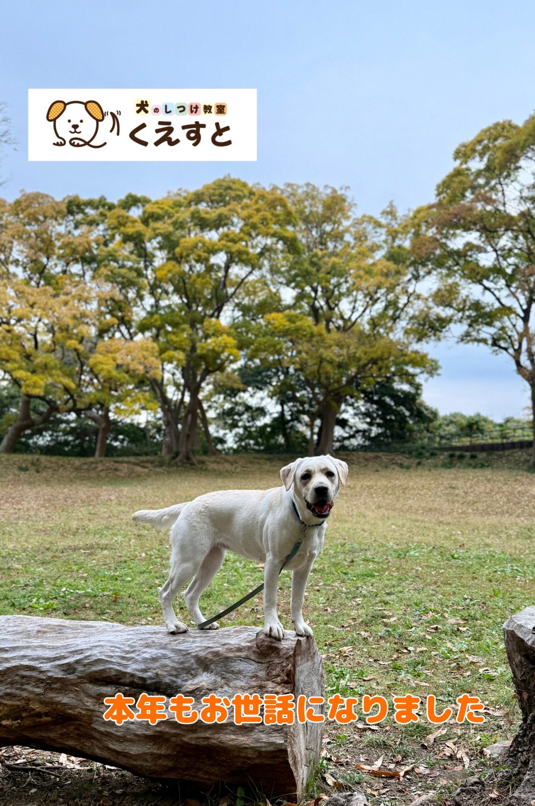 本年もお世話になりました